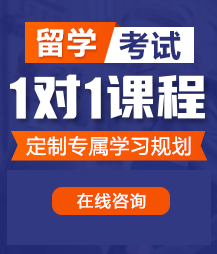 大鸡巴插入骚穴网站留学考试一对一精品课